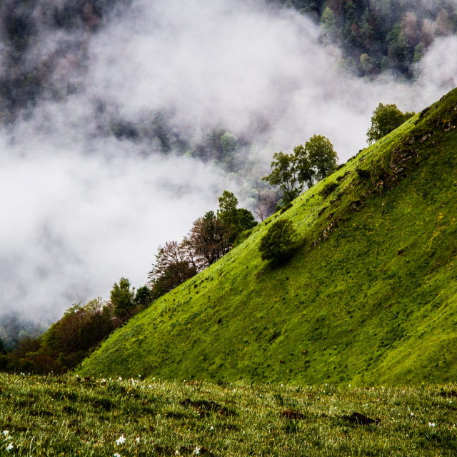 2017_06_05-Rando-pic-de-campsaure-0007