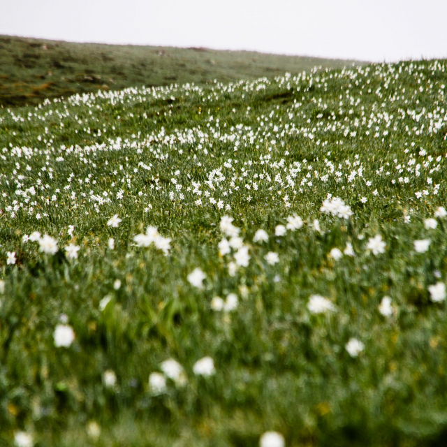 2017_06_05-Rando-pic-de-campsaure-0009